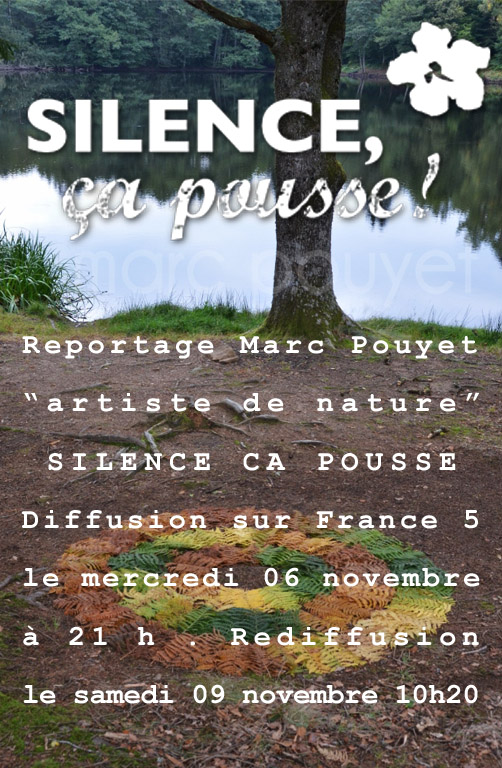 ARTICLE SILENCE CA POUSSE  2013