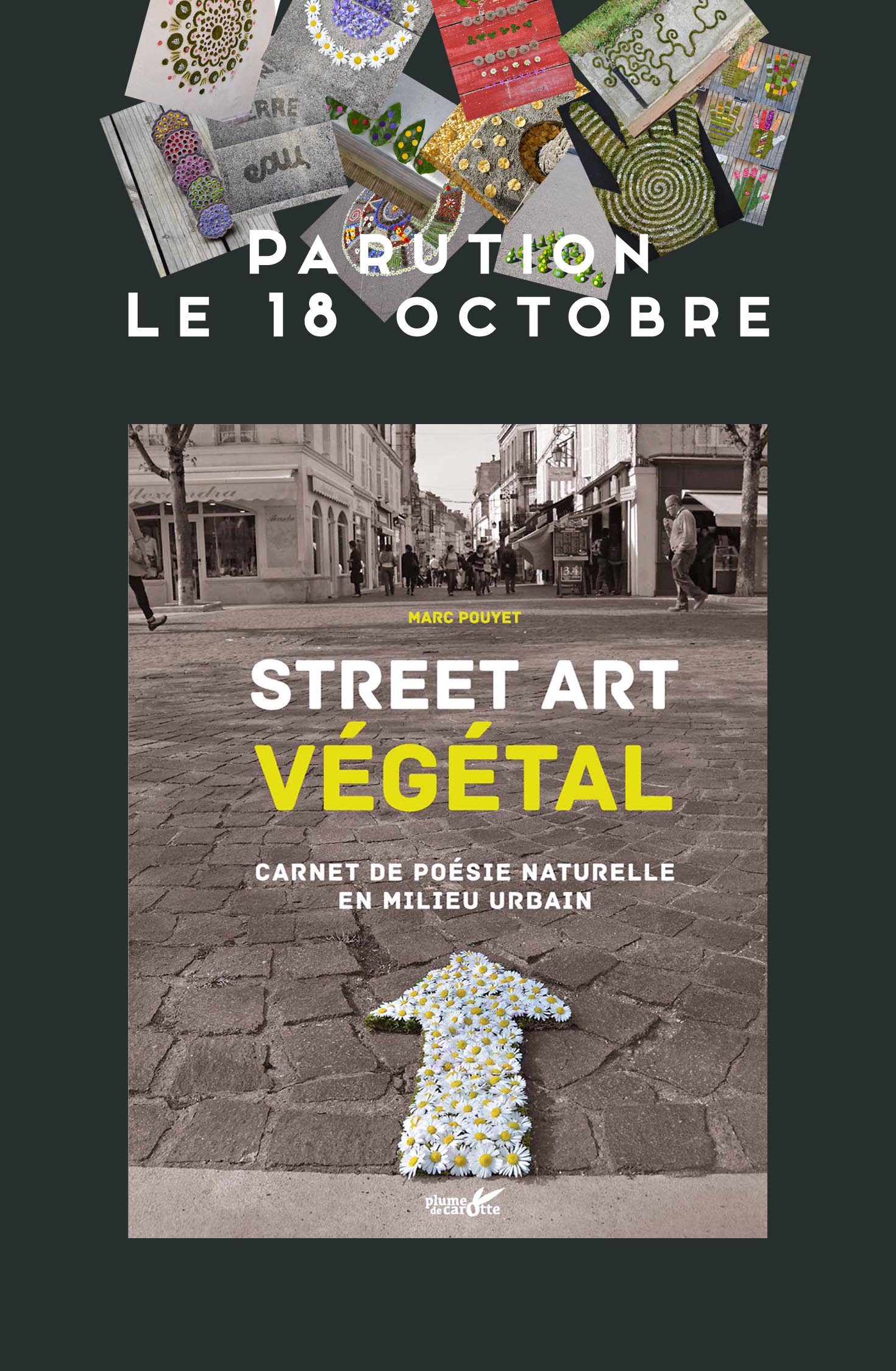 Article Parution STREET ART VEGETAL 3 M