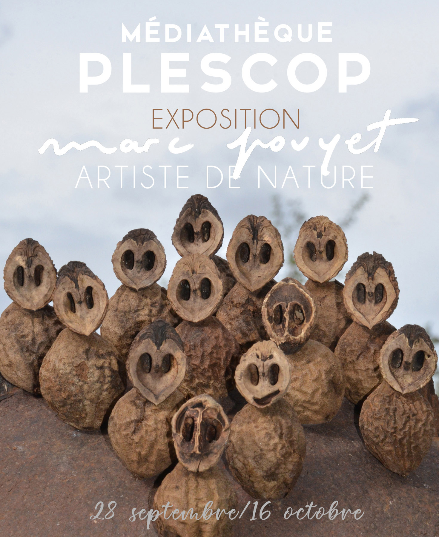 ARTICLE EXPOSITION PLESCOP M