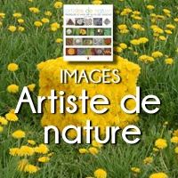 CARRE ARTISTE DE NATURE