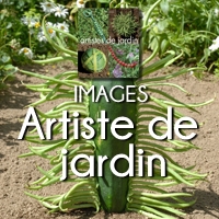 CARRE ARTISTE DE JARDIN