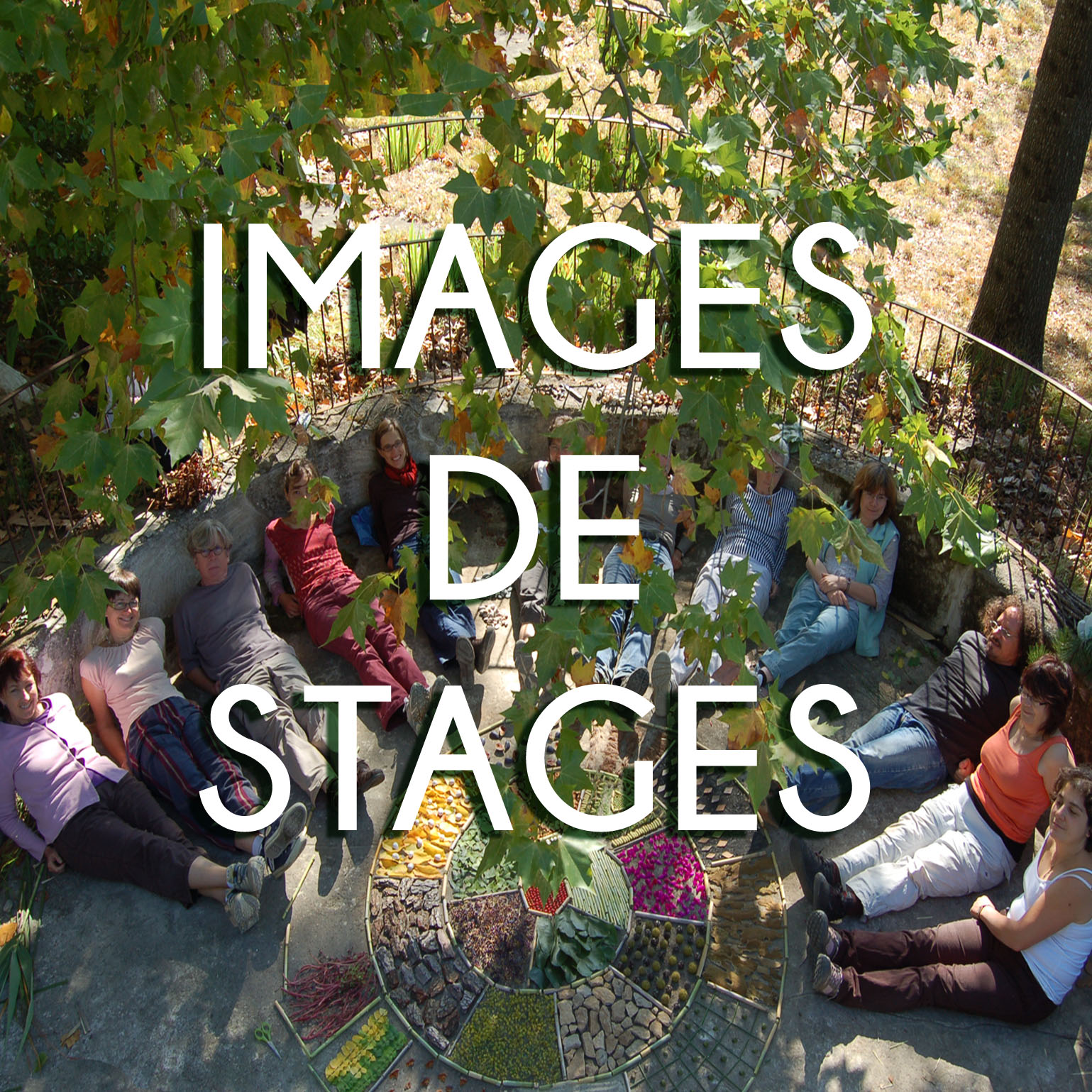 IMAGES DE STAGES