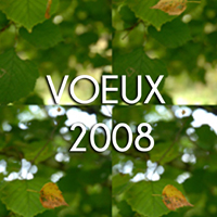 VOEUX 2008