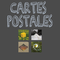 CARTES POSTALES