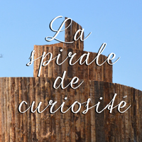 SPIRALE DE CURIOSITE ETE