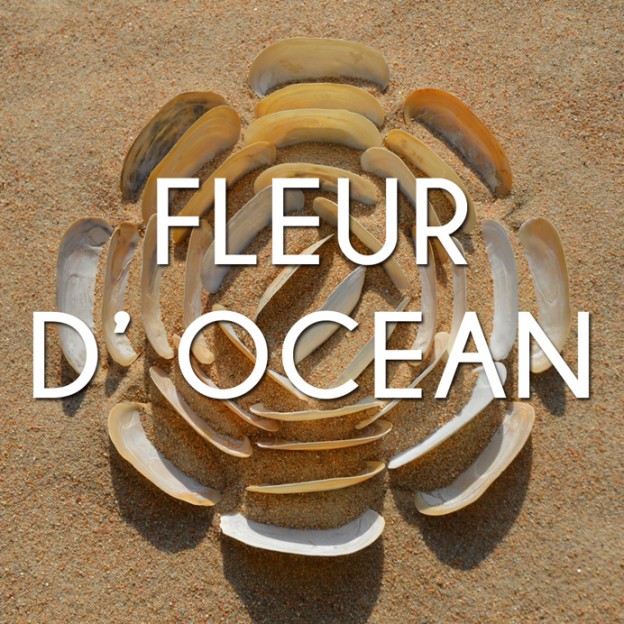 FLEUR D' OCEAN Vidéo