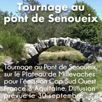 CARRE PONT DE SENOUEIX