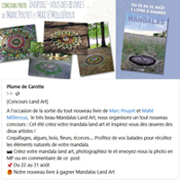 CARRE 0013 CONCOURS MANDALAS