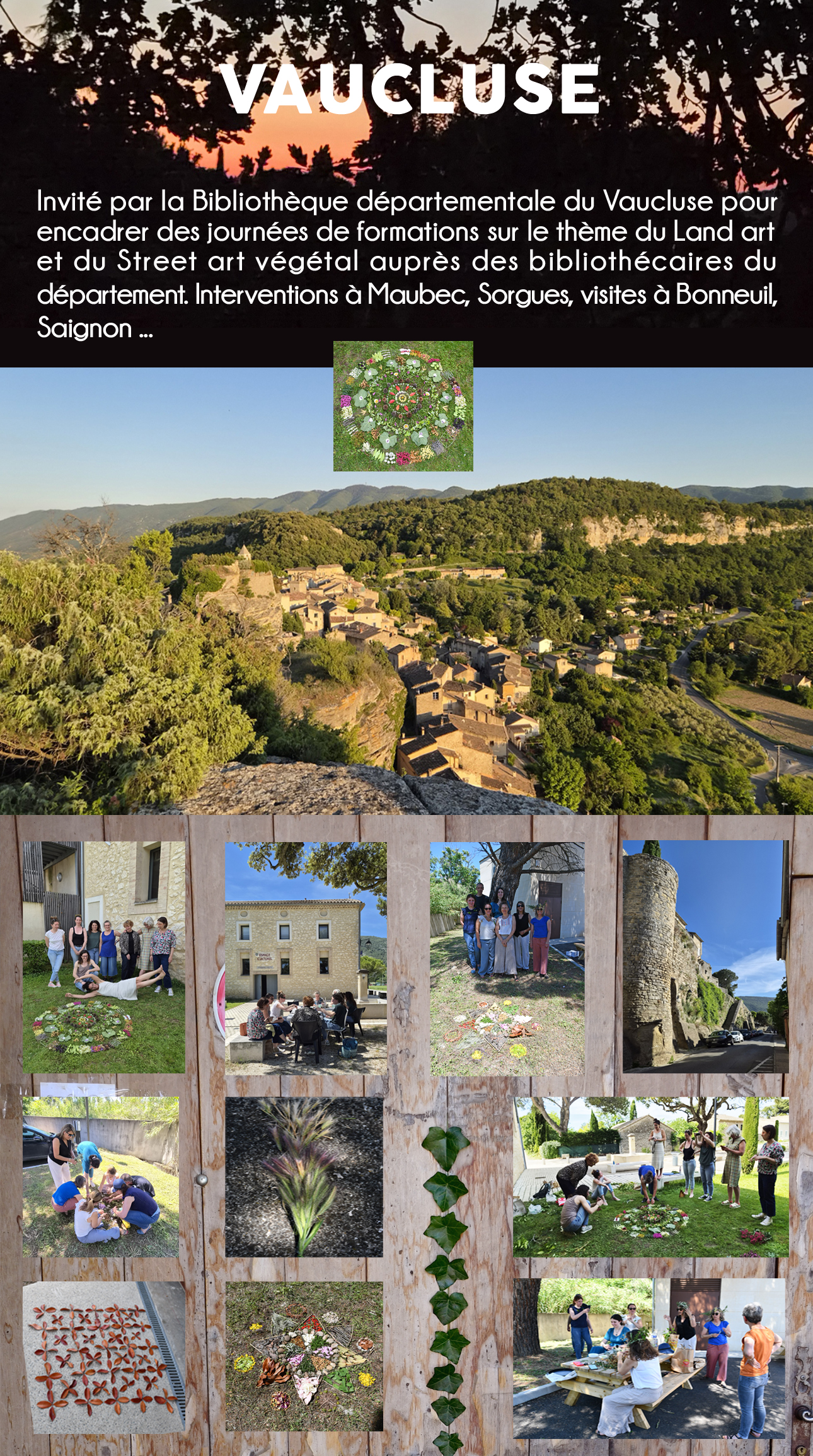 VAUCLUSE